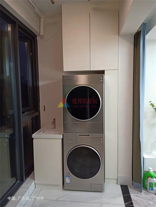 藏珑府16栋01户型双机柜【肤感白柜体 肤感白隐边门】洗烘机