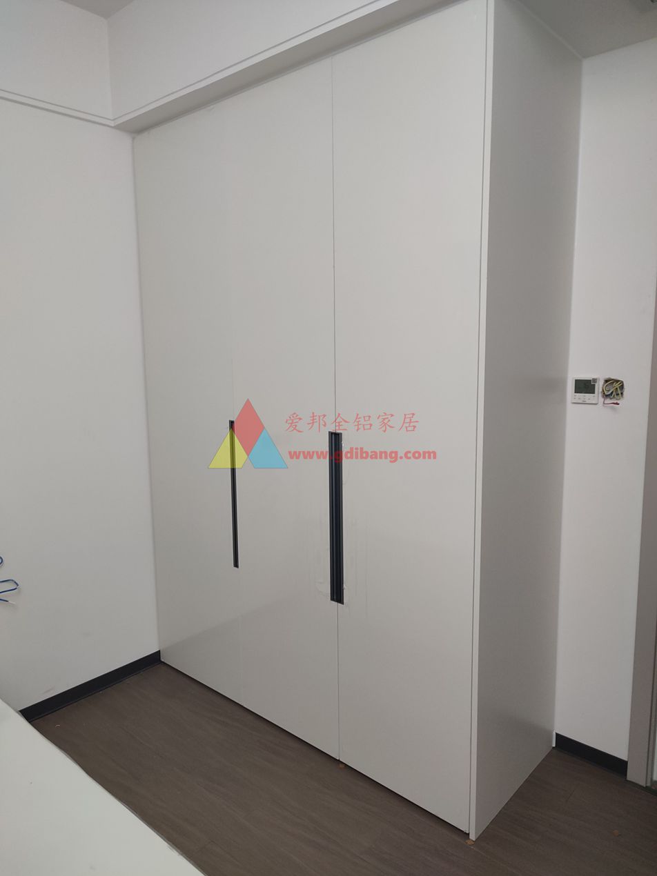 金融城9-1栋06户型  挂墙金属配件 框加门   肤感白同
